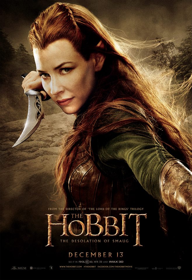 The Hobbit The Desolation of Smaug character poster 5